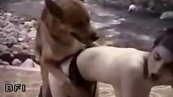 german shepherd fucks bitch outdoors