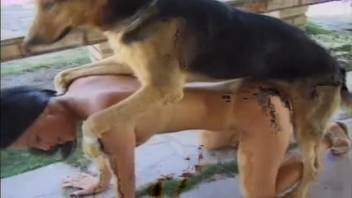 Animal sex XXX videos with incredible beasts