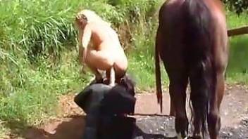 Horse fuck after dildo riding