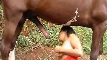 Brunette enjoying horse cock fucking here