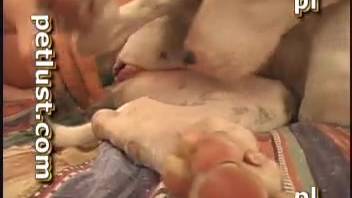 Super hot homosexual bestiality adult film featuring gaping