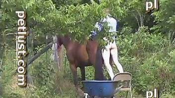 Horse fuck scene with a really horny guy