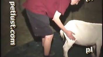 Man fucks dog porn bestiality XXX zoo