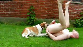 Horny guy fucking dog on he green grass