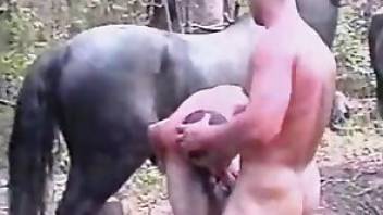 Man fucks horse in a gay zoo vid