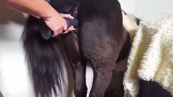Banging a slut in the doggystyle position